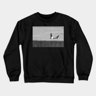 Peeking.... Crewneck Sweatshirt